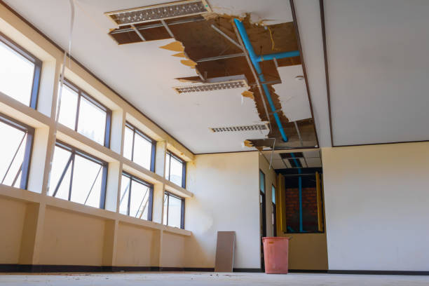 Best Flood damage cleanup  in Lennox, SD