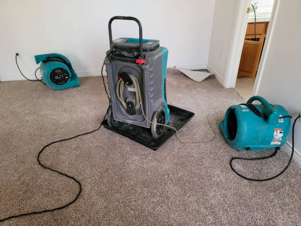Best Water damage contractors near me  in Lennox, SD
