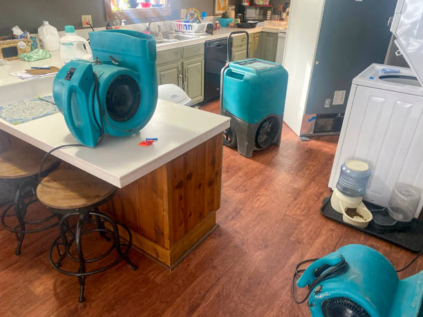 Best Commercial water damage restoration  in Lennox, SD