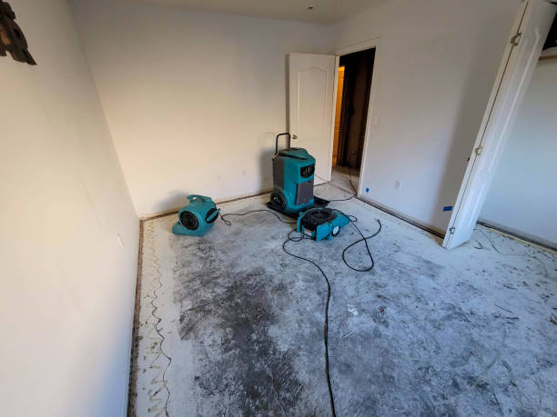 Best Water damage cleanup near me  in Lennox, SD