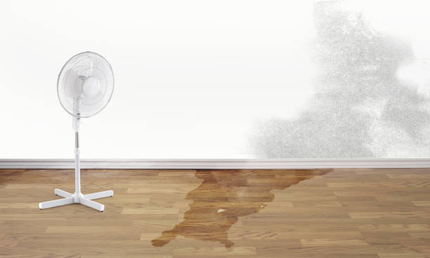 Best Water damage restoration company  in Lennox, SD