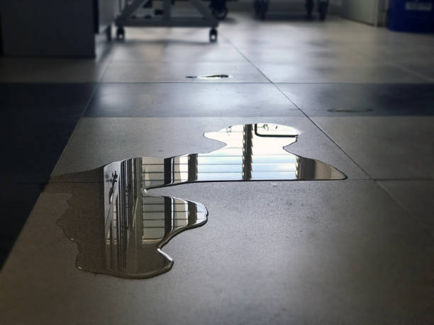 Best Carpet water damage restoration  in Lennox, SD