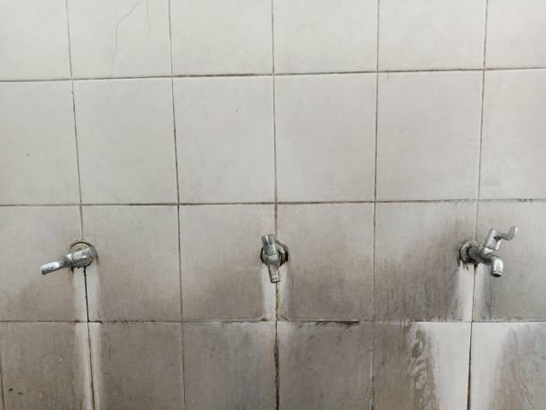 Best Residential water damage restoration  in Lennox, SD