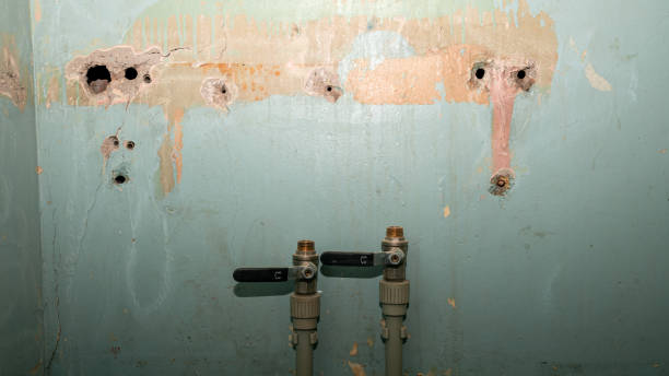 Best Sewage cleanup and water damage restoration  in Lennox, SD