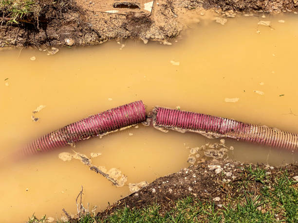 Best Local water damage restoration  in Lennox, SD