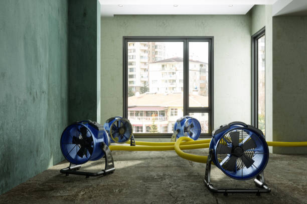 Best Emergency water damage restoration  in Lennox, SD