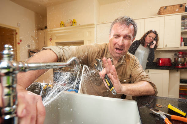 Best Professional water damage repair  in Lennox, SD